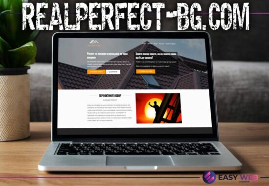 Easyweb portfolio REALPERFECT