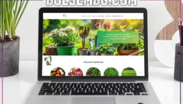 bulsembg.com